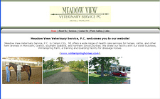 Visit Meadow View Veterinary Service